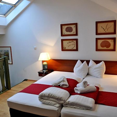Hotel U Bileho Kone Loket Szoba fotó
